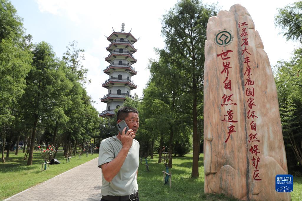 老虎机红黄绿怎么压